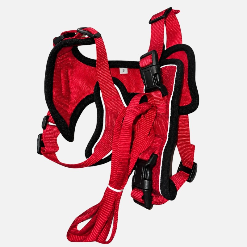 Adjustable Cat Harness & Lead Set