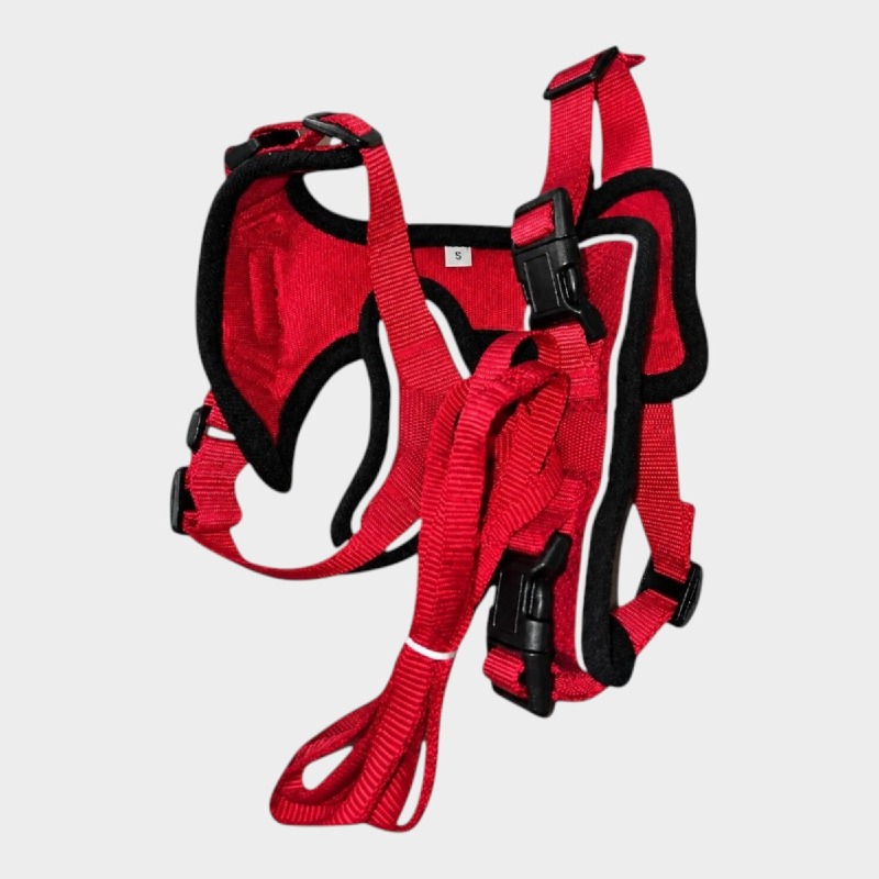Adjustable Cat Harness & Lead Set